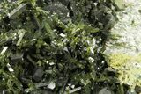 Lustrous Epidote Crystals with Actinolite - Pakistan #374635-1